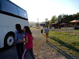 image301